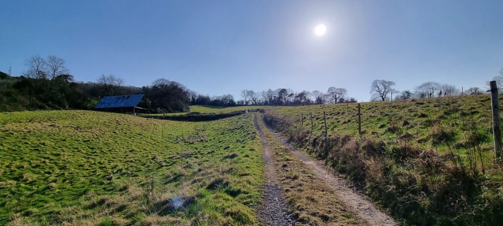 A dirt path winds through a sunny, green pasture, with a small wooden shed with a corrugated metal roof on the left. Bare trees dot the horizon under a clear blue sky and a bright sun. Fence posts line parts of the path and field—reminding one of PLOT C38 DUNDRY LANE Bristol sold by Palace Auctions.