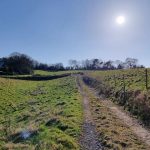 A dirt path winds through a sunny, green pasture, with a small wooden shed with a corrugated metal roof on the left. Bare trees dot the horizon under a clear blue sky and a bright sun. Fence posts line parts of the path and field—reminding one of PLOT C38 DUNDRY LANE Bristol sold by Palace Auctions.