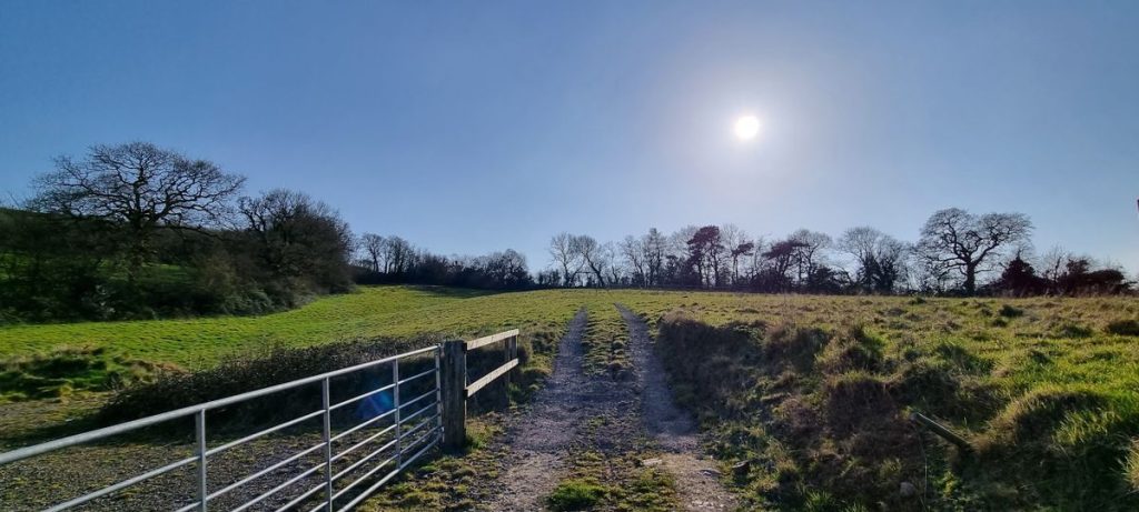 A grassy path leads through an open metal gate and uphill towards a bright sun in a clear blue sky. Trees without leaves line the horizon on both sides of the path, casting long shadows on the grass. The serene scene on Plot C38 Dundry Lane, Bristol, was sold by Palace Auctions and is bathed in sunlight.
