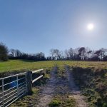 A grassy path leads through an open metal gate and uphill towards a bright sun in a clear blue sky. Trees without leaves line the horizon on both sides of the path, casting long shadows on the grass. The serene scene on Plot C38 Dundry Lane, Bristol, was sold by Palace Auctions and is bathed in sunlight.
