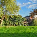 A backyard at 1 Boscombe Close, Lincoln, features a lush green lawn bordered by various plants and trees. A large tree on the left has ivy covering parts of the fence behind it. To the right, there is a tall ornamental grass plant. Some houses are visible in the background under a partly cloudy sky.