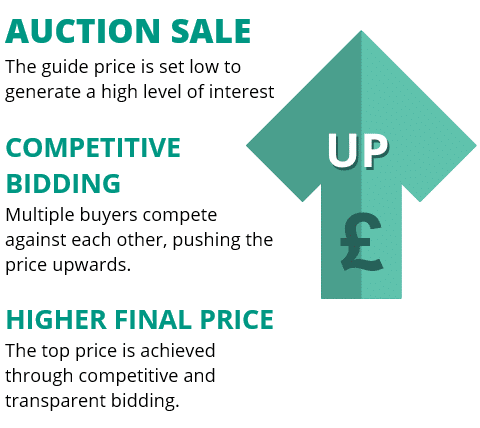 Understanding Auction Guide Prices: A Visual Guide by Palace Auctions