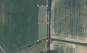 Aerial view of agricultural fields with a marked polygonal area highlighted in blue, outlined in red, featuring a red pin in the center. The highlighted area spans a section of the field and is bordered by a line of trees on the right-hand side.