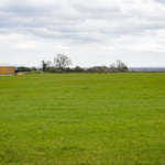 Wide green field with short grass extends to the horizon under a cloudy sky. A wooden building and a few leafless trees are visible in the background, adding depth to the pastoral scenery.