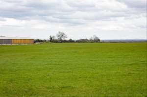 Wide green field with short grass extends to the horizon under a cloudy sky. A wooden building and a few leafless trees are visible in the background, adding depth to the pastoral scenery.