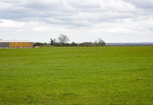 Wide green field with short grass extends to the horizon under a cloudy sky. A wooden building and a few leafless trees are visible in the background, adding depth to the pastoral scenery.