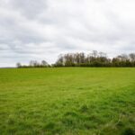 A wide expanse of green grassy field stretches into the distance under a cloudy sky. Trees line the horizon, and a cell tower is visible on the right side of the image. A hedge runs along the right edge of the field.
