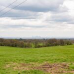 A wide view of a green, grassy field leading to a dense woodland with a distant city skyline visible under a cloudy sky. Two power lines cross diagonally in the near foreground. The horizon separates the green land from the grey, overcast sky.