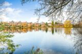Lakeside scene of a new development with houses and autumnal trees
