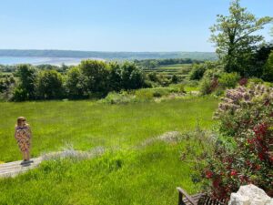 A person wearing a colorful dress stands on a wooden path through a vast grassy field. The background features lush green trees, a body of water, and hills under a clear blue sky. Flowering shrubs and a wooden bench are visible in the foreground near Nicholaston House in Swansea, West Glamorgan.