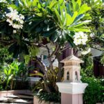 A lush garden with a large frangipani tree in full bloom, displaying white flowers, surrounds the entrance of the Grand Pacific Sovereign Resort & Spa. The entrance is marked by two ornamental pillars and the building's name sign. Green leafy plants add to the vibrant and serene ambiance.