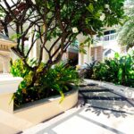 A sunlit garden path surrounded by lush greenery leads to a building with large white columns and balconies, reminiscent of the opulence found at the Grand Pacific Sovereign Resort & Spa. The path features geometric designs and is bordered by bushes, palms, and flowering trees. A decorative stone lantern sits beside the path on the left.