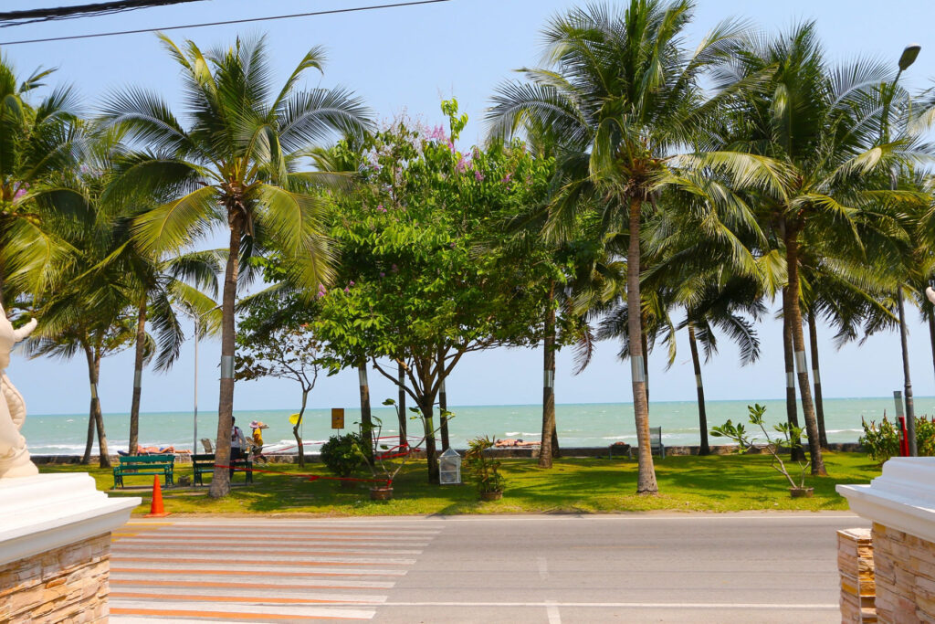 Tropical seaside view with palm trees lining the beach, a clear blue sky, and turquoise waters in the background. A road with a pedestrian crossing runs parallel to the coastline, near the Grand Pacific Sovereign Resort & Spa. There is a small park area with green grass and benches near the beach.