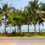 Tropical seaside view with palm trees lining the beach, a clear blue sky, and turquoise waters in the background. A road with a pedestrian crossing runs parallel to the coastline, near the Grand Pacific Sovereign Resort & Spa. There is a small park area with green grass and benches near the beach.