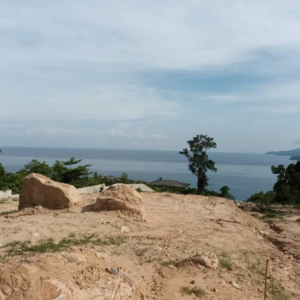 Expansive view of an open, rocky terrain near a body of water under a partly cloudy sky. A few scattered trees and shrubs are visible, with the calm blue water and distant landform in the background, creating a serene landscape.