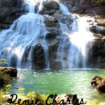 A vibrant waterfall cascades over rocks into a serene, greenish-blue pool surrounded by lush vegetation. Sunlight illuminates the water and rocks, creating a picturesque scene. The text "Renee Charles" is written in black cursive font at the bottom of the image.