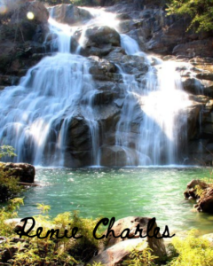 A vibrant waterfall cascades over rocks into a serene, greenish-blue pool surrounded by lush vegetation. Sunlight illuminates the water and rocks, creating a picturesque scene. The text "Renee Charles" is written in black cursive font at the bottom of the image.