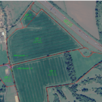 Property for sale by Auction Aerial view of a large, segmented farmland adjacent to a major highway. The 2.57 acres offer future commercial or self build opportunities, divided into lots labeled 1, 2, 3, and 4 with green text and red boundary lines. Surrounding areas include buildings, roads, and natural landscape features. Presented by Palace Auctions