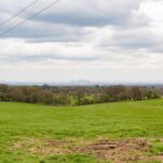 Property for sale by Auction A scenic view of a grassy field with trees in the background and a distant city skyline under a cloudy sky. Power lines stretch across the upper left corner of the image. Presented by Palace Auctions