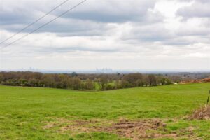 Property for sale by Auction A scenic view of a grassy field with trees in the background and a distant city skyline under a cloudy sky. Power lines stretch across the upper left corner of the image. Presented by Palace Auctions