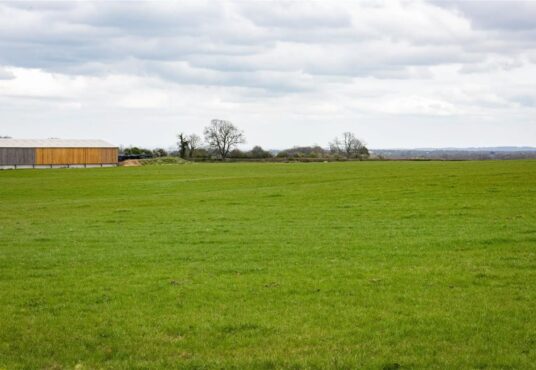 Property for sale by Auction A vast green field under a cloudy sky with a wooden and metal building on the left side. The landscape is mostly flat, with a few scattered leafless trees in the background and rolling hills visible in the distance. Presented by Palace Auctions