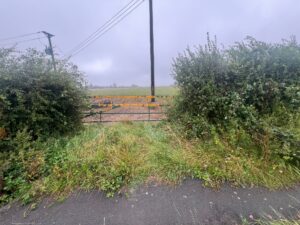 Property for sale by Auction A narrow pathway flanked by tall bushes on both sides leads to a fenced-off field, part of a 2.1 acre land auction: prime Warlingham plot with access. The ground is overgrown with grass and the sky is overcast. Power lines run overhead, and a distant field is partially visible through the fence. Presented by Palace Auctions
