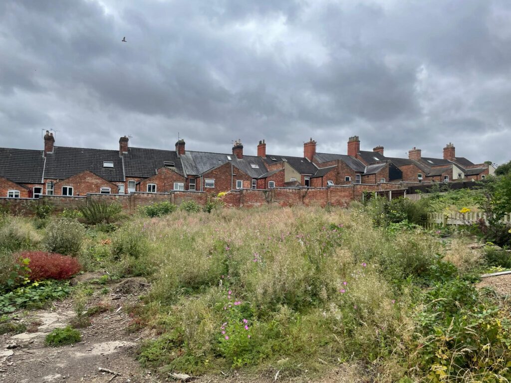 Property for sale by Auction A row of brick houses with chimneys stands under a cloudy sky. In the foreground, there is an overgrown garden area with tall grass, wildflowers, and weeds. A small bird is flying in the sky above the houses. Presented by Palace Auctions