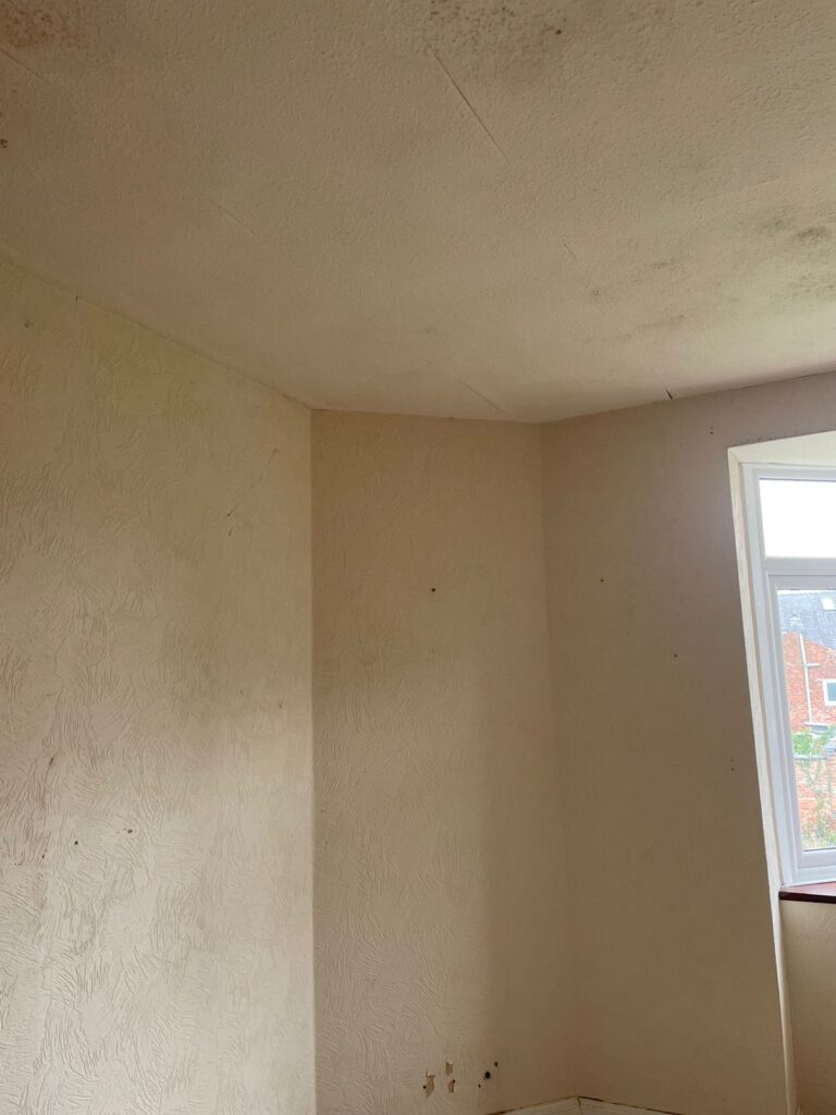 Property for sale by Auction A sparsely decorated room with textured cream walls and a white ceiling. There is a window on the right side, letting in natural light. The walls have slight discoloration and patches, indicating the need for some maintenance or repainting. Presented by Palace Auctions