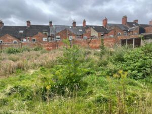 Property for sale by Auction A grassy, overgrown field with various plants and weeds in the foreground. In the background, there is a row of brick houses with multiple chimneys, some with skylights. The sky above is overcast, creating a gloomy atmosphere. Presented by Palace Auctions