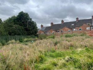Property for sale by Auction An overgrown garden with tall grass and wildflowers is bordered by a green wooden fence. Behind it, red-brick terraced houses with dark roofs are visible. The sky is cloudy, creating a gloomy atmosphere. A dense, green tree stands to the left. Presented by Palace Auctions