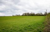 Property for sale by Auction A wide expanse of a green grassy field under a cloudy sky stretches across the 2.1 acre land auction: Prime Warlingham plot with access. In the distance, there is a row of bare and partially leafed trees. On the far right, a tall communication tower is visible near the edge of the field beside a line of bushes. Presented by Palace Auctions