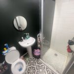 Property for sale by Auction A small bathroom with dark walls features a round mirror above a white sink. There's a shower with a glass door and white tiles. A toilet is beside the sink, and various toiletries are arranged on the sink and toilet tank. The floor has patterned tiles. Presented by Palace Auctions