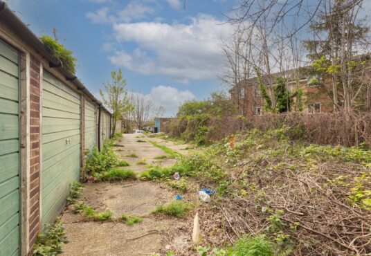 Property for sale by Auction An overgrown alley with cracked pavement, lined by green garage doors on one side and dense vegetation on the other. Litter is scattered on the ground. In the background, a brick building and leafless trees are visible under a partly cloudy sky. Presented by Palace Auctions
