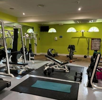 Property for sale by Auction A gym with green walls featuring various exercise equipment, including weight benches, a weight rack, stationary bike, and dumbbells. Mats are placed on the floor, and mirrors line one wall. Presented by Palace Auctions
