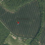 Property for sale Aerial view of a large, rectangular agricultural field bordered by trees—ideal development land Bucks—with a blue-and-red pin marker near the center and a nearby road running along the left and bottom edges. Presented by Palace Auctions