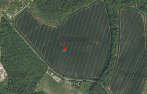 Property for sale Aerial view of a large, rectangular agricultural field bordered by trees—ideal development land Bucks—with a blue-and-red pin marker near the center and a nearby road running along the left and bottom edges. Presented by Palace Auctions