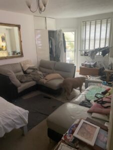 Property for sale A cluttered living room in Gwydyr Mansions Brighton features an L-shaped sofa, scattered cushions, and clothes hanging from an open wardrobe. Sunlight filters through blinds and a glass door, illuminating the space and a large dog standing near the center. Presented by Palace Auctions
