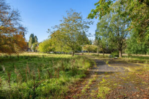 Property for sale A quiet, sunny park scene with a paved path bordered by grass and trees, some with autumn-colored leaves. A wooden bench sits along the path, and houses—reminiscent of a Scottish manor house development—rest under a clear blue sky. Presented by Palace Auctions