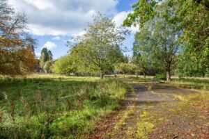 Property for sale A cracked asphalt path winds through an overgrown grassy area with scattered trees, under a bright blue sky with fluffy white clouds, reminiscent of the grounds of a Scottish manor house development. Some trees have autumn-colored leaves. Presented by Palace Auctions