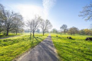 Property for sale A paved path runs through a green park with scattered trees under a clear, sunny blue sky, just steps from Albion Gate apartment. Sunlight shines brightly, casting long shadows on the grass. Presented by Palace Auctions