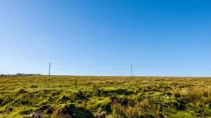 Property for sale A wide grassy field with sparse vegetation under a clear blue sky. Two wooden poles with a single wire, likely marking a testing property, stretch across the horizon, and a wooden fence is visible in the distance to the left. Presented by Palace Auctions