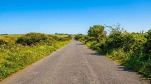Property for sale A narrow paved road stretches into the distance through lush green countryside under a bright blue sky, with bushes and grass lining both sides—an inviting scene near land for sale in Bolventor, Bodmin Cornwall. Presented by Palace Auctions