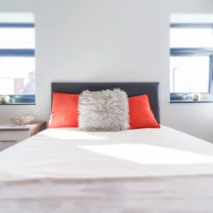 Property for sale A neatly made bed with a grey fluffy pillow and two red accent cushions against a dark headboard, placed between two windows in a bright, minimalist bedroom—perfect for Coventry PBSA Investment Auction listings. Presented by Palace Auctions