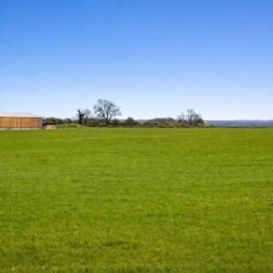 Property for sale A wide, green grassy field near Limpsfield Road in Warlingham stretches under a clear blue sky, with a few leafless trees and a wooden barn structure visible in the distance. Presented by Palace Auctions