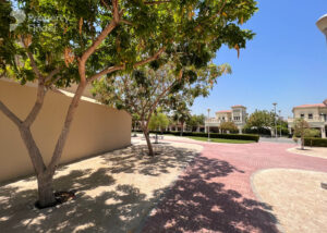 Property for sale A sunlit residential walkway in Jumeirah Village Triangle, Dubai, with trees casting shadows on a sandy path and red brick pavement, surrounded by hedges and villas under a clear blue sky. Presented by Palace Auctions