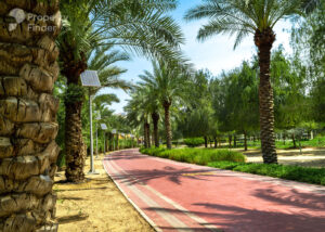 Property for sale A winding red path lined with palm trees and solar-powered streetlights runs through a lush, green park under a bright blue sky—perfectly embodying luxury living in Jumeirah Village Circle. Presented by Palace Auctions