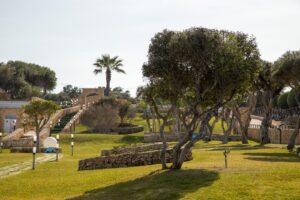 Property for sale A landscaped garden with trimmed grass, stone pathways, stone walls, various trees including a palm, and outdoor lamps, all under a clear sky. Steps lead up past the trees towards a small building in the background. Presented by Palace Auctions