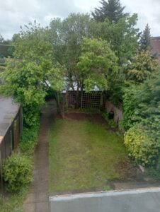 Property for sale A view of a green back garden featuring a lawn, several tall trees, shrubs, a paved path, and a wooden trellis at the back near a shed, taken on a cloudy day. Presented by Palace Auctions