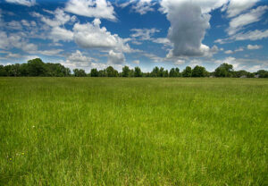 Property for sale A wide, open grassy field under a partly cloudy blue sky, with a line of trees in the distance. The bright green grass stretches across the landscape of this serene Washpond Lane land auction site. Presented by Palace Auctions