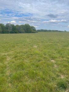 Property for sale A wide, open grassy field with patches of green and brown grass, bordered by a line of trees in the distance under a partly cloudy blue sky—ideal freehold plots Surrey land for sale at Washpond Lane Land Auction. Presented by Palace Auctions